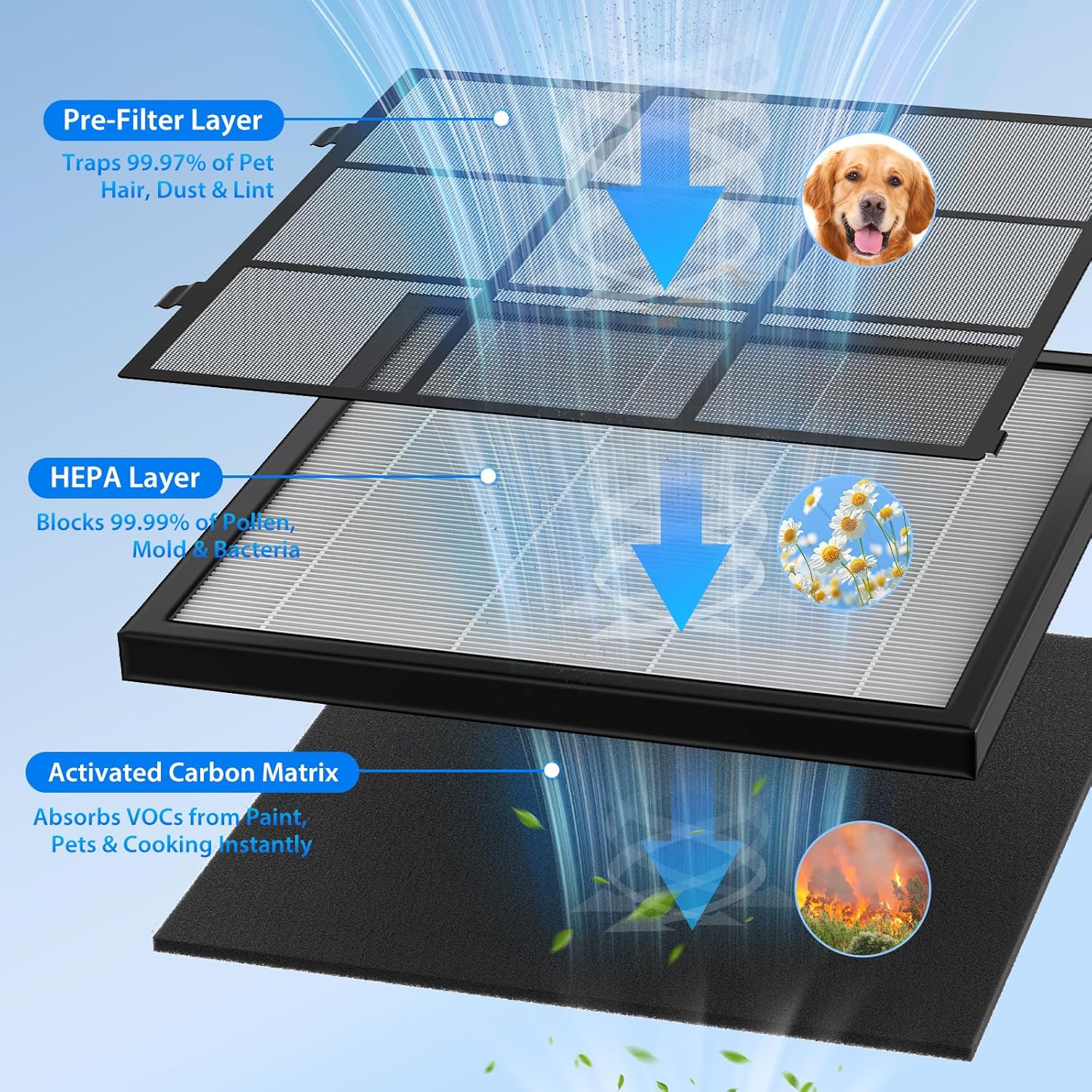 815VqJEcNnL._AC_SL1500_