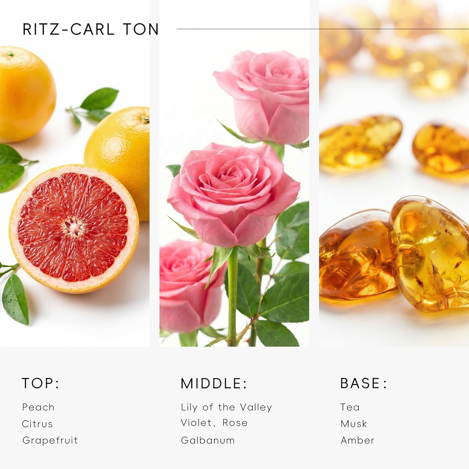 81tnQVWbseL._AC_SL1500_